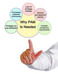 Explaining Why PAM IS Needed