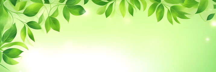 新緑　葉　緑　背景