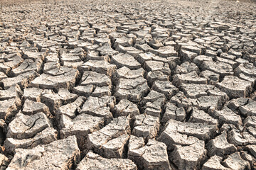 Landscape ground cracks drought crisis environment background.