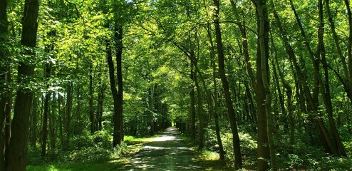 Naklejka premium Nature photography.