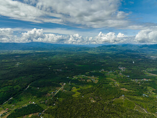 Obraz premium Mountains with rainforest and farmland. Tropical landscape and mountains. Borneo, Malaysia.