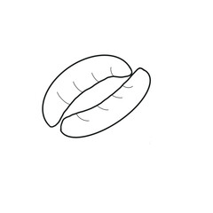 sausage hot dog food breakfast hand drawn doodle organic line