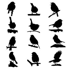 silhouettes of birds vector eps 10