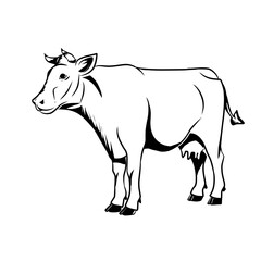 Sketch cow