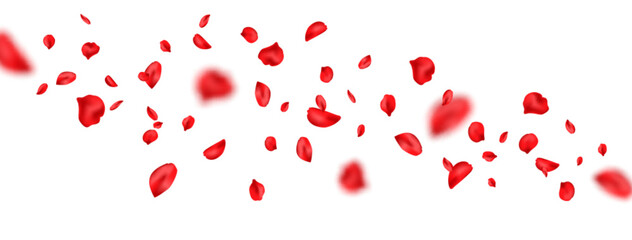 Red rose petal wave. Flower part flying on white background. Spring blossom frame. Valentine romantic card. Happy Woman, Mother day. Beauty Spa product. Organic cosmetic. Vector illustration