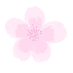 Spring Flower Illustration asset/background transparent Sakura cherry blossom drawing hand-drawing image 