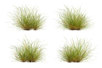 Green grass cut out on transparent background, nature meadow, 3d render illustration.