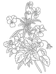 This intricate flower illustration is perfect for coloring enthusiasts of all ages. It features a variety of petals and leaves, ready to be brought to life with your favorite coloring tools.