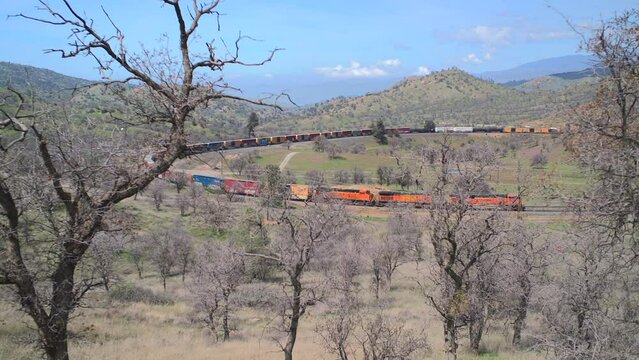 Majestic Locomotive, Barreling Down the Tracks