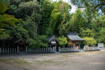 Fototapeta na wymiar 森の中の神社
