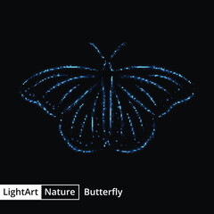 Butterfly silhouette of lights on black background