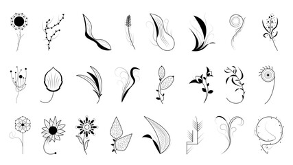 Big Abstract Set Doodle Elements Hand Drawn Collection Botanic Herbal Flora Leaf Branch Vine Flower Plant Elements F Vector Desgin Style