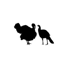 Pair of Turkey Silhouette for Art Illustration, Pictogram or Graphic Design Element. The Turkey is a large bird in the genus Meleagris. Vector Illustration 