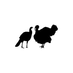 Pair of Turkey Silhouette for Art Illustration, Pictogram or Graphic Design Element. The Turkey is a large bird in the genus Meleagris. Vector Illustration 