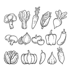 Collection of vegetables vector hand drawn sketch illustration