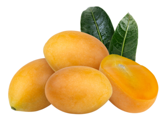 Marian plum or plum mango fruit with green leaves