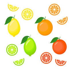 Citrus set. Vector fruits collection. Lemon, lime, orange, grapefruit. Slices and halves of citrus