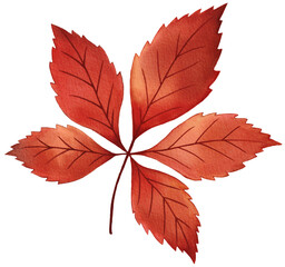 autumn leaf watercolor