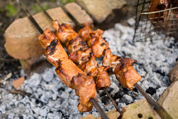 Close up shot of appetizing hot shish kebab on metal skewers prepares on the coals outdoors. Grilling shashlik on barbecue grill