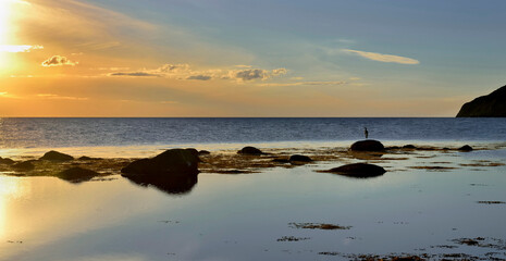 landscape at sunset on the sea of the Suedoise rocky coast with the silhouette of a bird on a rock