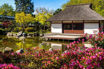 Thatched roof Japanese Tea House at a calm pond in Planten un Blomen public park in Hamburg, with...