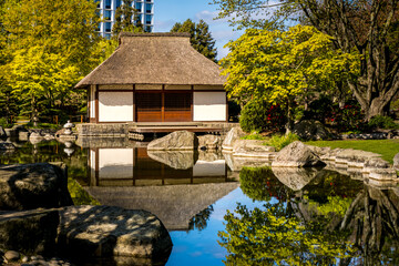 The famous Japanese tea house reflects in the calm pond of the Japanese garden with lush foliage in...