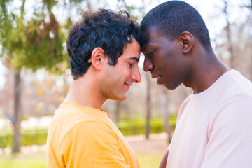 Fototapeta premium lgbt concept, couple of multiethnic men in a park in a romantic pose under a tree
