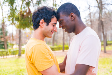 Fototapeta premium lgbt concept, couple of multi-ethnic men in a park in a romantic pose under a tree, with their foreheads closed