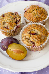 Seasonal muffins with plums and poppy seeds on white wooden and textile background close up selective focus 