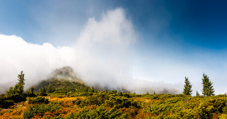 A dense cloud covered the top of the mountain on a sunny day.