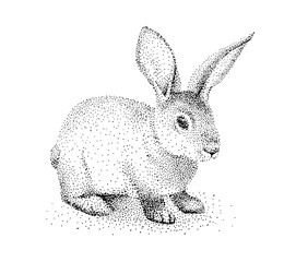 Obraz premium A drawing of a rabbit on a white background