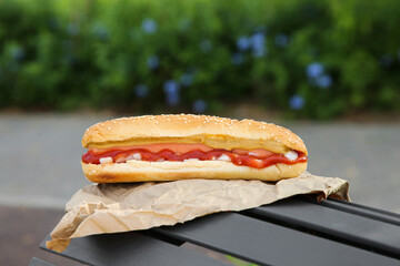 Fresh delicious hot dog with sauce on black bench outdoors