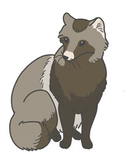 座るタヌキ