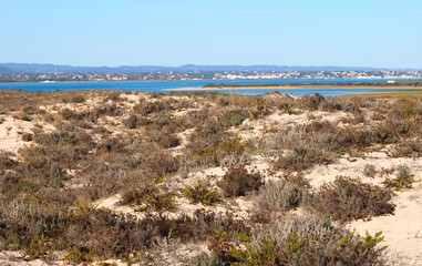 Hiking across the beautiful island of Culatra at the Algarve coast of Portugal