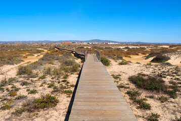 Hiking across the beautiful island of Culatra at the Algarve coast of Portugal