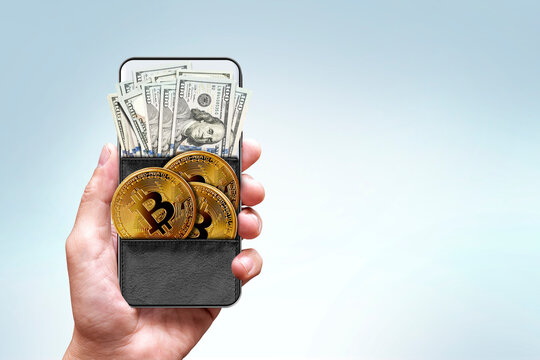 digital money wallet concept, bitcoin