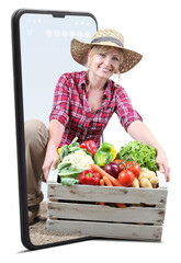Sale of vegetables garden products online. Smiling woman emerges from smartphone with wooden crate full of vegetables, isolated on white background, banner for web shop and  home delivery e-commerce