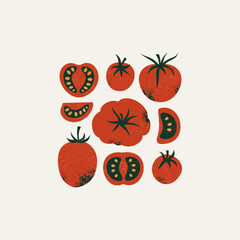 Tomato collection. Whole and half cut tomatoes. Textured retro style. Vector illustration