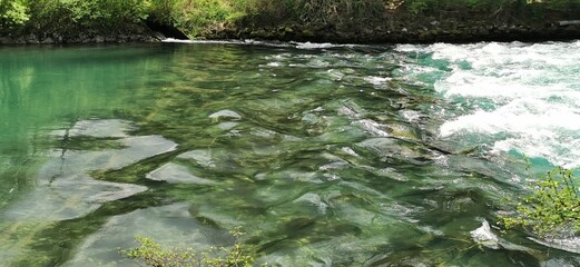 Innehalten an der Aare