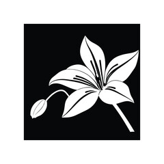 Lily flowers coloring books Make Line art, hand-drawn illustrations.Perfect for creating coloring pages, coloring books, enchanting holiday invitations, and other creative projects.