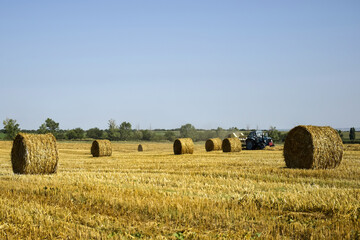 Harvested wheat field with large round bales of straw in summer. Farmland with blue sky. Copy space. Close-up. Selective focus.