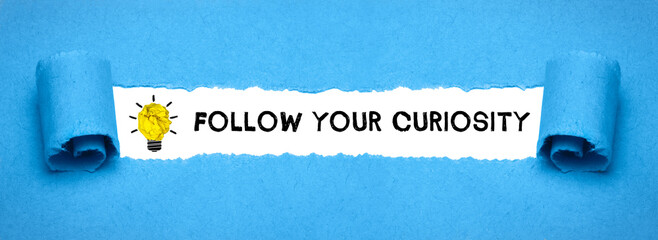 Follow your curiosity	