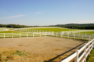 fence in a field