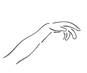 Fototapeta premium hand drawn sketch