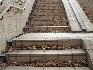 落ち葉のつもった階段