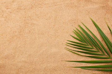 Fototapeta na wymiar Palm leaf on a sandy beach. Summer natural background. Top view.