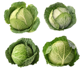 Fototapeta premium Collection of four green cabbages on a transparent background, Generative AI