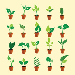 Naklejka na ściany i meble Set of various plants in pots isolated on yellow background. Vector illustration.