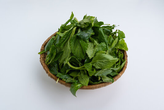Ingredients of Chwinamul, spring greens, Korean seasonal side dishes, food 