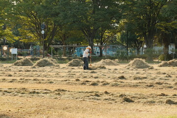 公園の芝刈りをする作業員